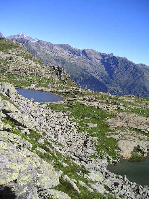 Laghi